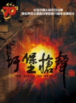 国内精品视频在线