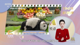 h视频导航